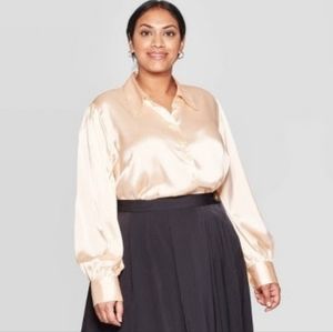Silk Type Blouse